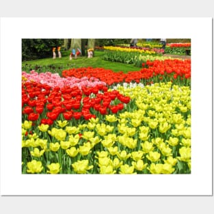 Keukenhof Tulip Festival, Holland Posters and Art